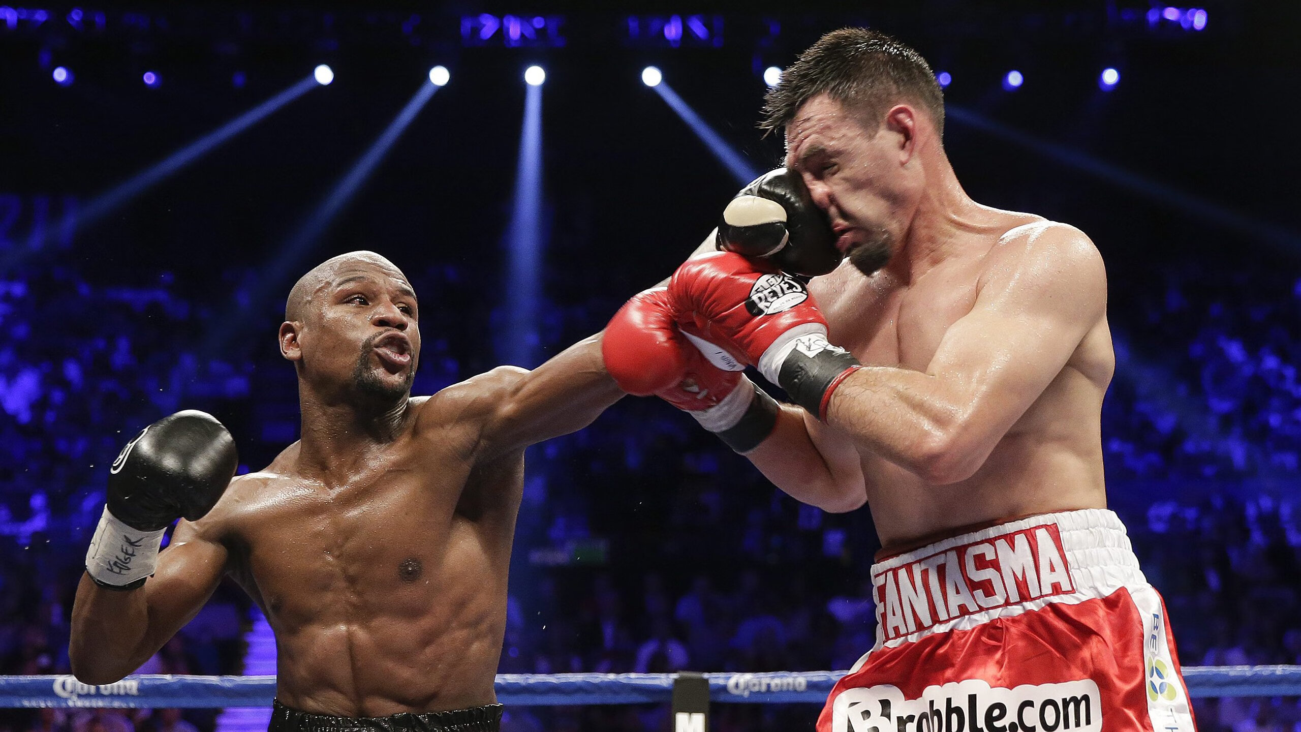 网球最新战报！西班牙队迎战葡萄牙队，超级对决，球迷热情点燃赛场